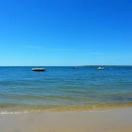 Apartment - Lumineux Avec Balcon Et Wifi, Proche - Fr-1-420-97 Arcachon