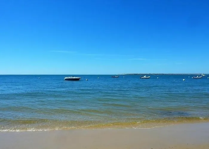 Lägenhet - Lumineux Avec Balcon Et Wifi, Proche - Fr-1-420-97 Arcachon