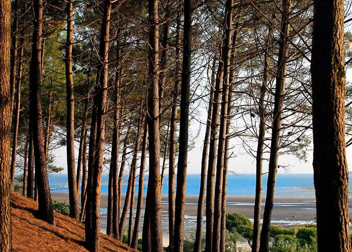 - Lumineux Avec Balcon Et Wifi, Proche - Fr-1-420-97